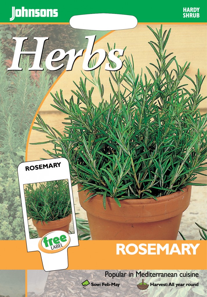 105491 Rosemary